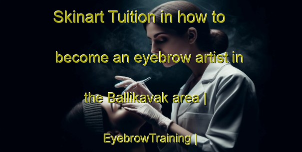 Skinart Tuition in how to become an eyebrow artist in the Ballikavak area | EyebrowTraining | EyebrowClasses | SkinartTraining-Turkey